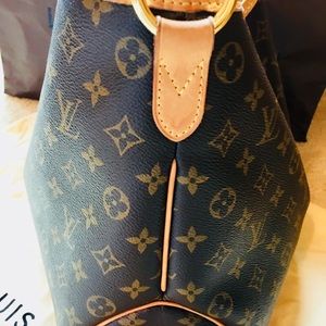Louis Vuitton Monogram Delightful PM